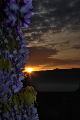 Sonnenaufgang über Zugerberg