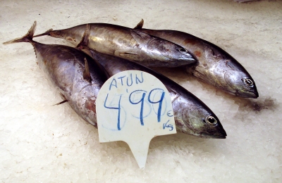 frischer Fisch auf dem Wochenmarkt in Barcelona....