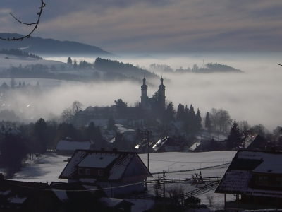 im Schwarzwald