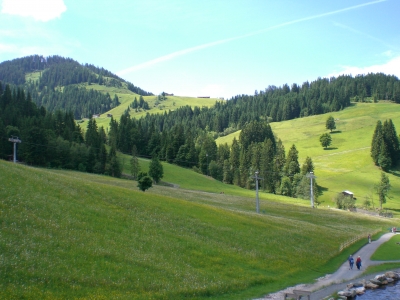 Weide in Söll / Tirol