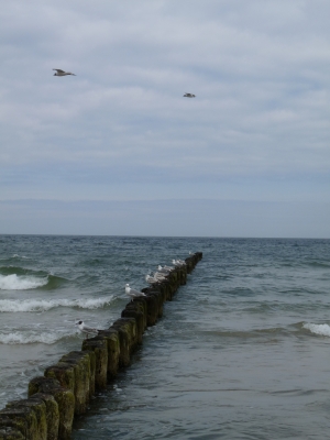 typisch Ostsee