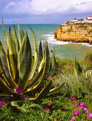 Sommerliche Küste in Portugal