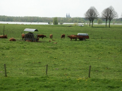 Niederrhein mit Blick auf Xanten