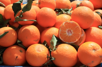 Orangen in der Sonne