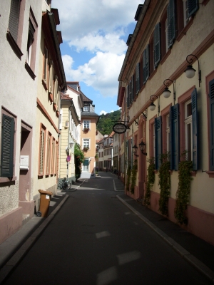 Die Heidelberger Altstadt