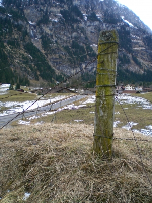 Zaunpfosten vor Winterweide in Kandersteg