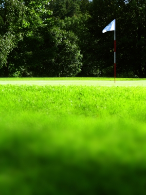 Golf neutral Grün mit Fahnenstock