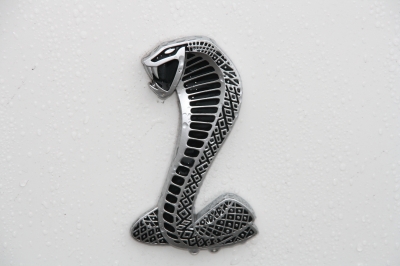 Emblem auf einer Viper
