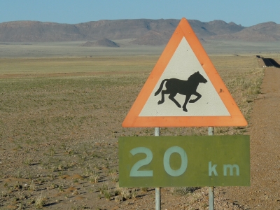 Wilde Pferde der Namibia-Wüste 1