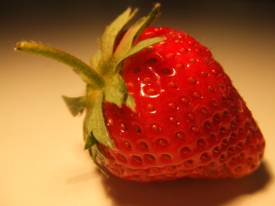 Erdbeere III