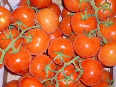 Tomaten