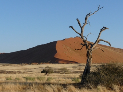 Sanddünen von Sosusvlei (Namibia)