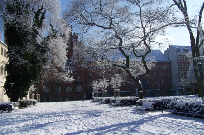 Rathaus Köpenick im Wintersonnenschein