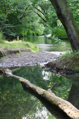 Natur erleben 1