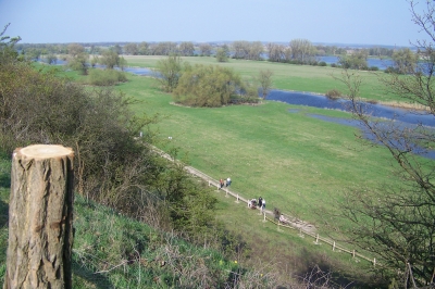Oderwiesen bei Lehbus