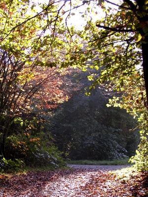 Herbststimmung