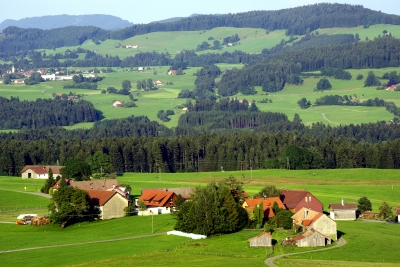 Allgäu 16 - von der Alpe nach Lindau