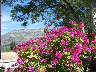 Samos, Blick über Klostermauern