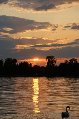 Sonnenuntergang Bosensee