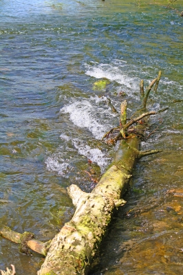 Alles im Fluss 3