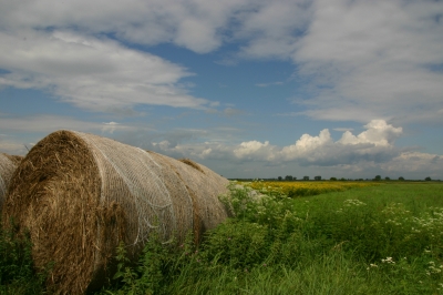 Idylle im Hansag