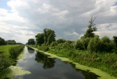 Sommer im Einser Kanal