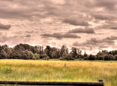 HDR -  Sommerwiese