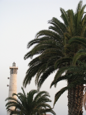 Leuchtturm hinter Palmen