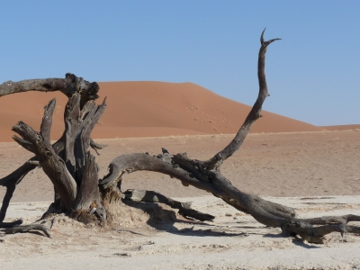 Dead Vlei / Namibia