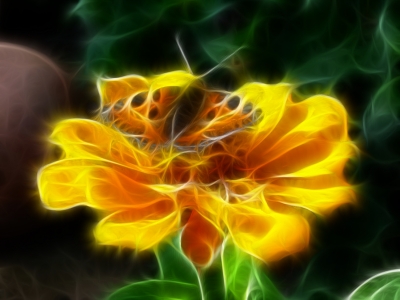 Fraktal-Blume
