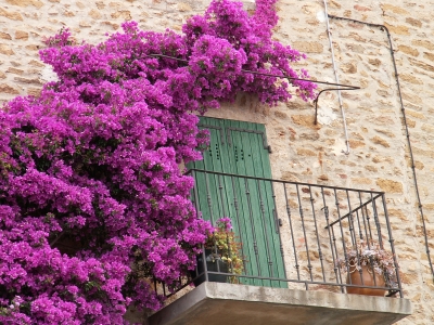 Türen der Provence 6