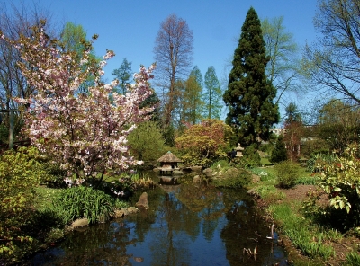 Japanischer Garten Leverkusen 1