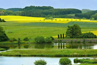 Frühling 2009  -  vorbei...