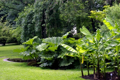 bot. Garten Uni-Hohenheim 5