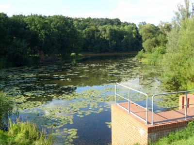 Hohensaaten-Friedrichsthaler Wasserstrasse