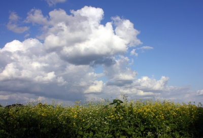 Wolken überm Feld