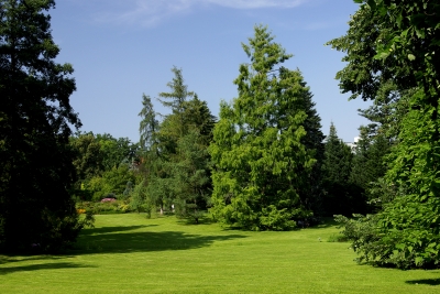bot. Garten Uni-Hohenheim 24