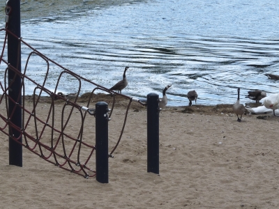 Spielplatz am Wasser