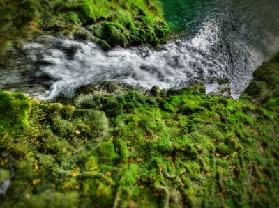 Wasser spaltet wurzeliges Grün
