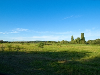Landschaft zwischen Maintal u. Bischofsheim