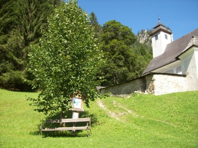 Johnsbacher Kirche