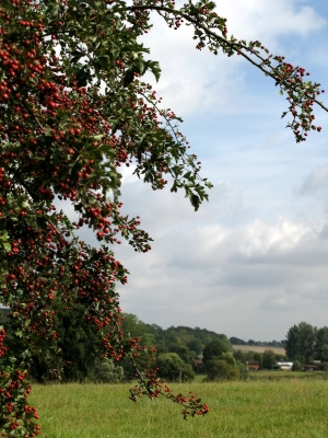 Blick in die Ferne-Richtung Reinfeld