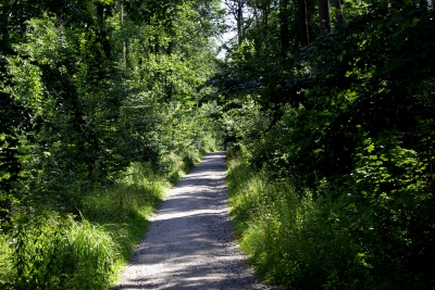 unsere schöne Natur 1 - der Weg