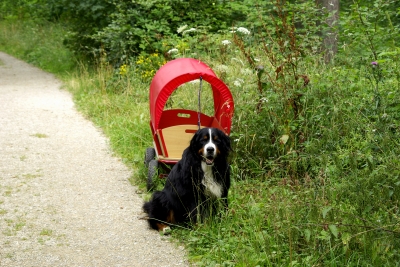 unsere schöne Natur 7 - Transport