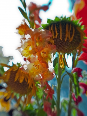 Sonnenblume, Blumenvase, Blumenstrauss,