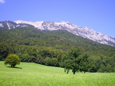 Blick zum Hochstaufen