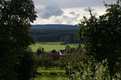 im schönen Wiesengrunde 2