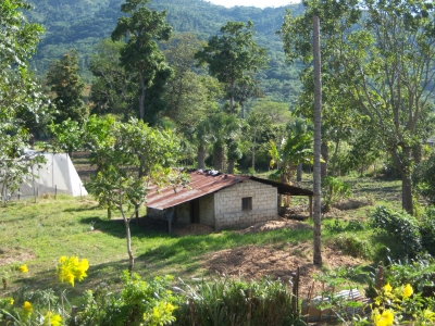 Hütte in Landschaft