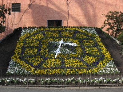 Zittauer Blumenuhr im Frühjahr