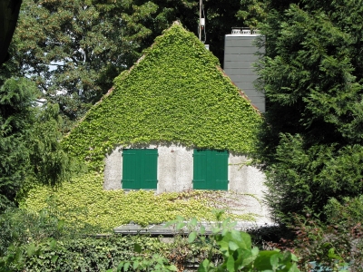 Haus mit grünen Fensterläden